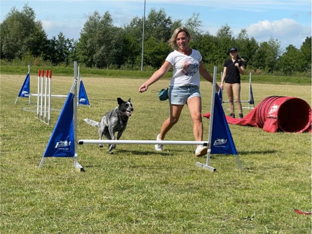 START Dog Jumping (Vervolg)