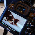 GRATIS FOTOSHOOT! OPENING DHZ TRIMSALON ALPHA NATURA