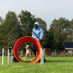 Cursus Hoopers voor beginners (VOL!)