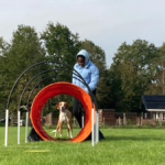 Cursus Hoopers voor beginners (=VOL!)